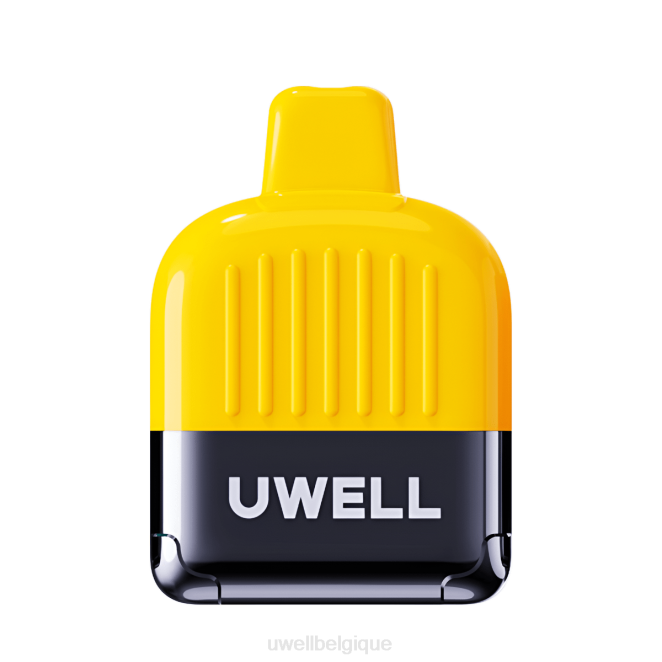 UWELL DN8000 vape jetable glace de dragon noir 2VTX309 | UWELL STORE