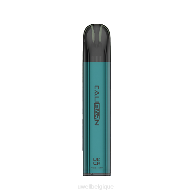 UWELL CALIBURN vape jetable de la barre C800 menthe fraîche 2VTX328 | UWELL PRIX