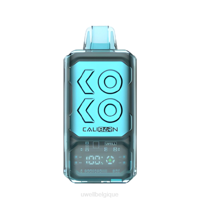UWELL CALIBURN vape jetable de la barre s12000 Baies mélangées 2VTX288 | UWELL PRIX