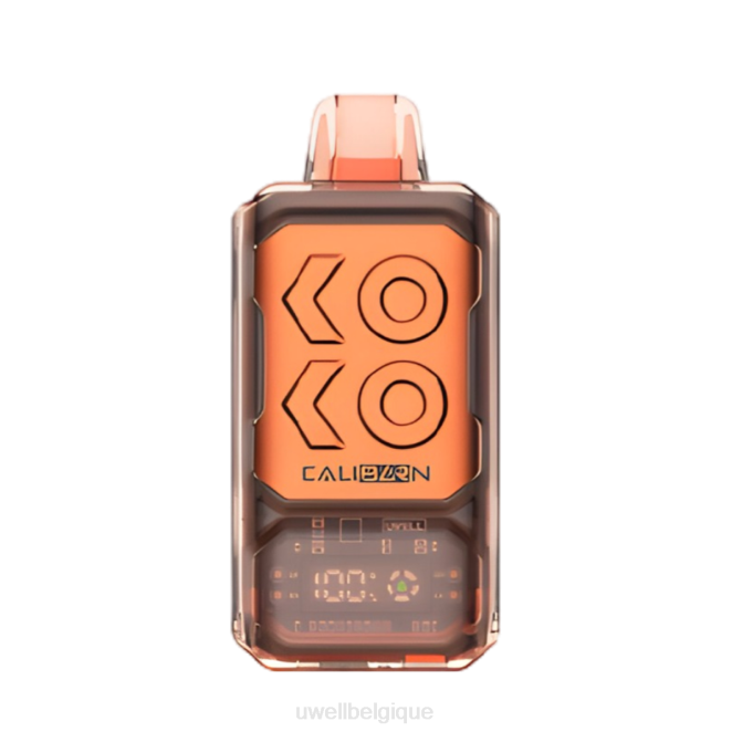 UWELL CALIBURN vape jetable de la barre s12000 Baies mélangées 2VTX288 | UWELL PRIX