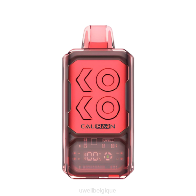 UWELL CALIBURN vape jetable de la barre s12000 Baies mélangées 2VTX288 | UWELL PRIX
