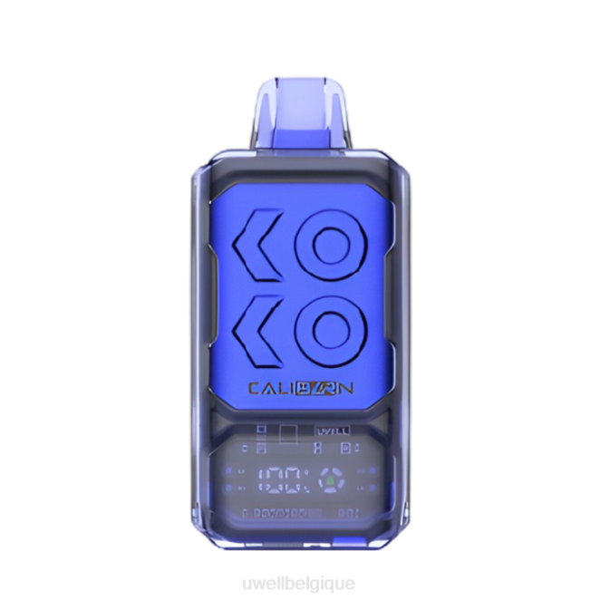 UWELL CALIBURN vape jetable de la barre s12000 Baies mélangées 2VTX288 | UWELL PRIX