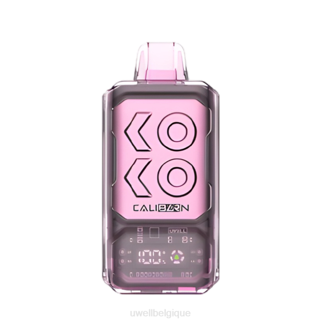 UWELL CALIBURN vape jetable de la barre s12000 menthe de Miami 2VTX287 | UWELL E CIGARETTE