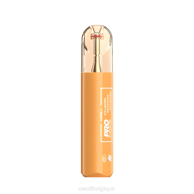 UWELL GABRIEL PEACE vape jetable raisin de myrtille 2VTX322 | UWELL BRUXELLES